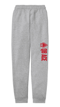 Load image into Gallery viewer, QB ACE Core Fleece Jogger
